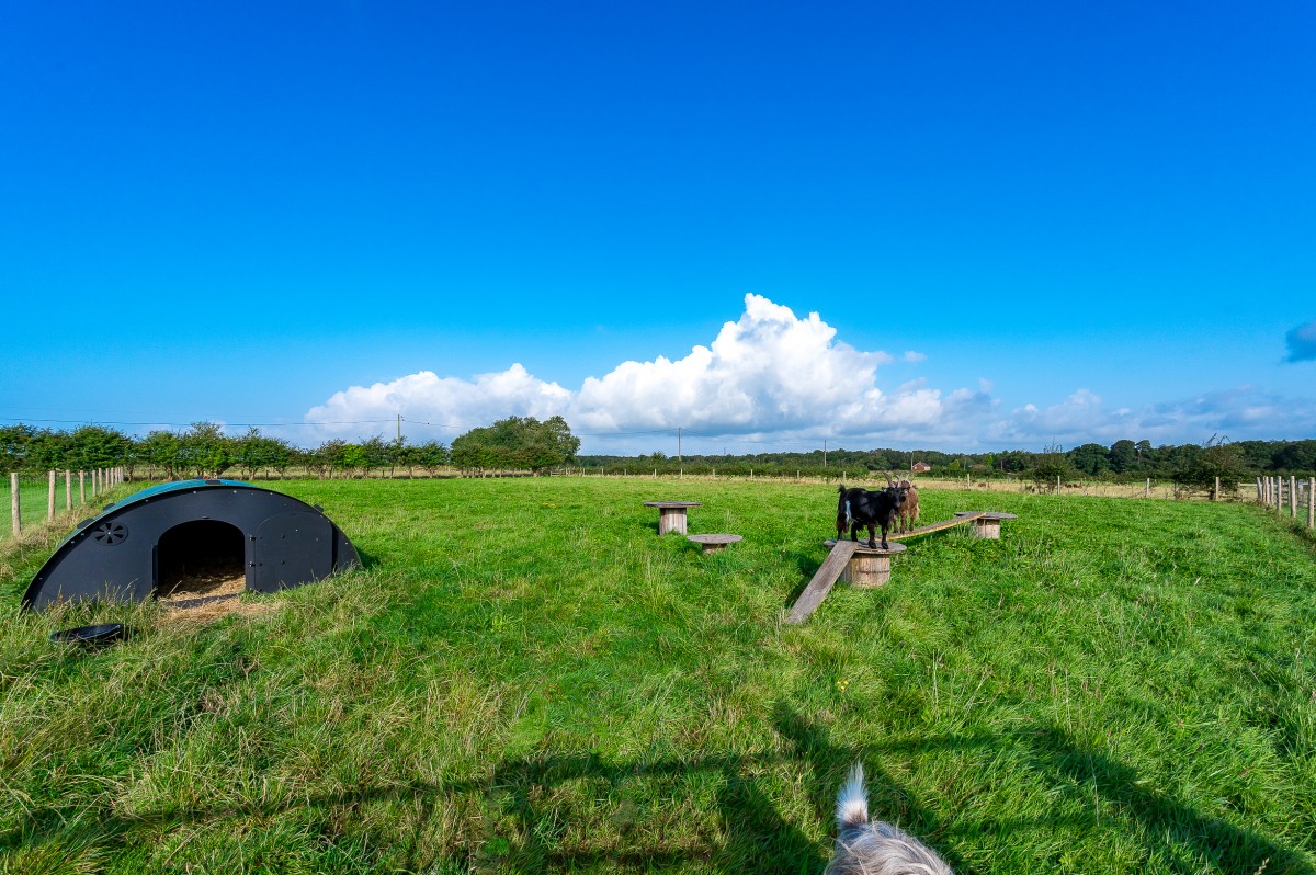 Images for Vale Lane, Lathom EAID:08687f08a08fe74e934a560e18eb0ef1 BID:2