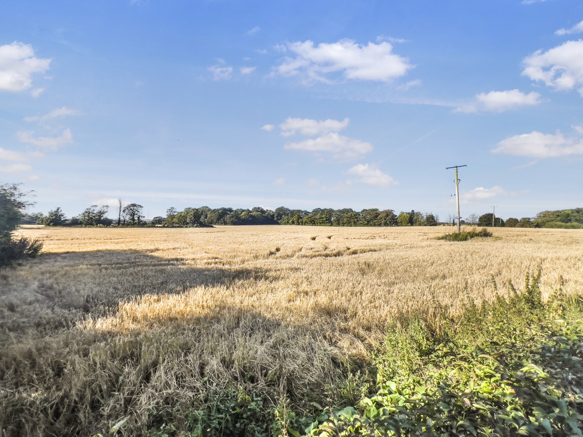 Images for Halsall Manor Court, Halsall EAID:08687f08a08fe74e934a560e18eb0ef1 BID:2