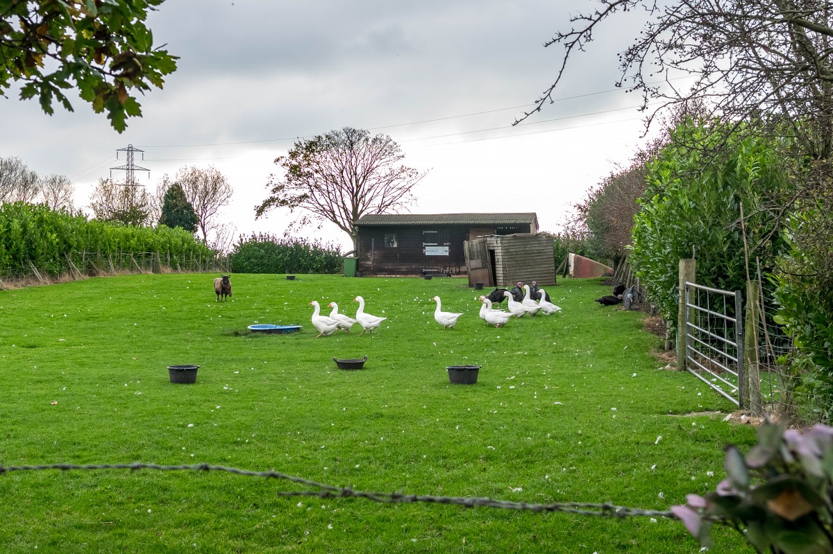 Images for Blaguegate Cottage, Lathom EAID:08687f08a08fe74e934a560e18eb0ef1 BID:2