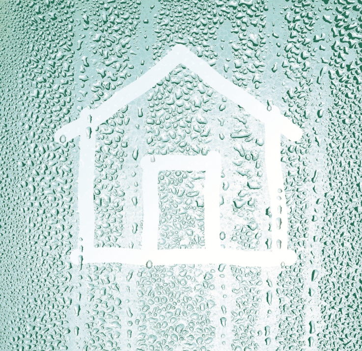 Top 3 Steps to Tackle Damp in Your Home