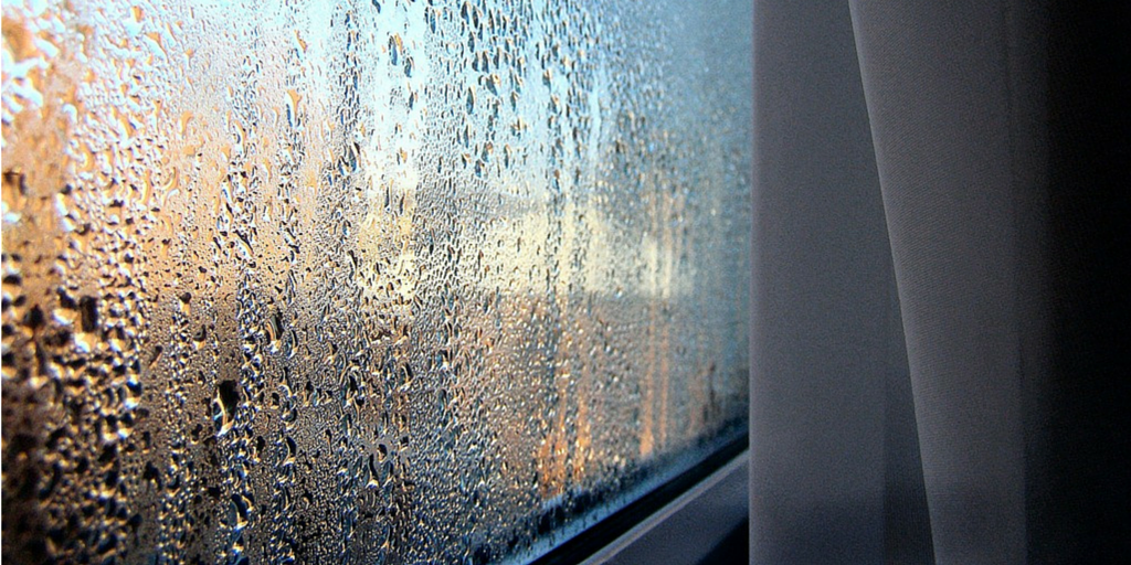 How to Prevent Damp in Your Home During The Winter